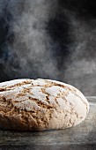 Brot im Ofen kurz Dampf ziehen lassen