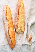 Classic baguettes made with wheat flour
