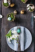 Table setting: colorful Easter quail eggs with spring cherry flowers, moss in garden pots, empty plates