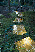 Weg auf dem Waldboden aus goldenen Fliesenplatten im Moos