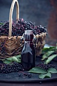 Black elderberry syrup
