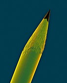 Tip of a tattoo needle, SEM