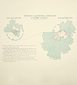 Causes of death in the Crimean War