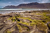 Volcanic beach and cliffs, Lanzarote, Canary Islands