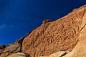 Atacama llama rock art in moonlight