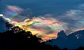 Colourful sky over jungle, India