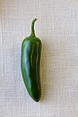 A green chilli on a white background (top view)
