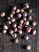 Many garlic bulbs on a wooden background
