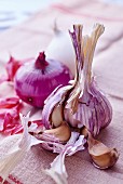 Garlic and red onion