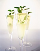Three glasses of champagne with fresh mint