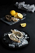 Fresh oysters with lemon