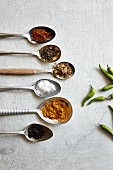 Currypulver und Gewürzzutaten auf Löffeln (Aufsicht)