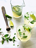 Mojitos mit Limetten, Minze und Eiswürfeln