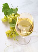 A glass of white wine in front of green grapes