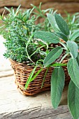 Fresh sage, thyme and rosemary in a basket