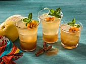 Tropical Spritzer: Erfrischungsgetränk mit Ginger Ale, Grapefruit und Zimt