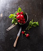 A colander with washed radishes and a knife on a black baking tray