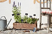 Herbs planted in wooden crate with plant labels