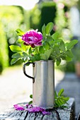 Pink rose and green leaves in antique metal jug on wooden bench outdoors
