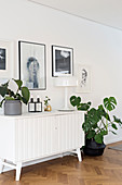 Bildergalerie über einer weißen Retrokommode mit Zimmerpflanzen
