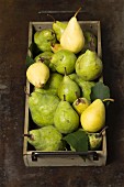 Pears in a wooden crate