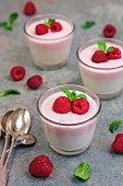 Vanilla yoghurt and raspberry yoghurt with fresh raspberries and mint