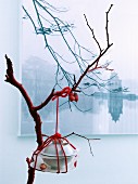 Bundle of crockery tied with red cord hung from branch