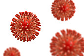 HIV particles, illustration