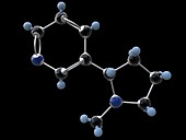 Nicotine organic compound molecule