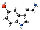 Serotinin organic compound molecule