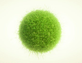 Green grass in sphere shape