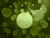 Green spheres