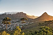 Tafelberg und Lion's Head, Kapstadt, Südafrika