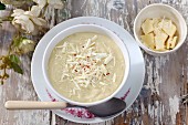 Creamy vegetable soup with white chocolate