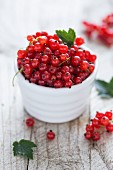 Red currant in a white bowl