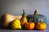 Selection of pumpkins on a grey backgound