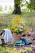 Korb mit herbstlichen Blätterzweigen im Wald