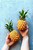 Female hands holding two baby pineapples