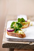 Baguette slices with olive oil and salad (lamb's lettuce, cress, onion, iceberg lettuce, einkorn)