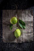 Zwei Zitronen mit Blättern auf Jute