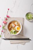 Toshikoshi, Japanese New Year's soup with duck and egg