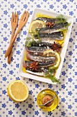 Sardine fillets in a lemon marinade with star anise and dill