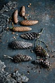 Pine cones and bark