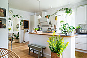 Island counter and many house plants in bright kitchen