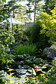 Pink water lilies in pond surrounded by flowerbeds