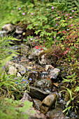 Small stream burbling through garden