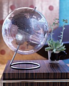 Transparent globe next to potted succulent on dark wooden surface