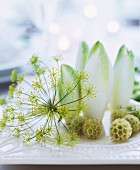 Arrangement of dill flower and chicory leaves on table