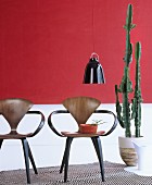 Two designer chairs next to cactus in front of red and white wall
