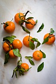 Tangerines with leaves and stem